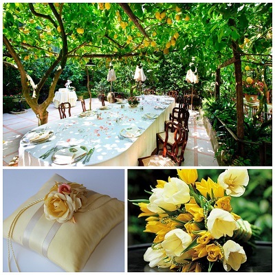 PicMonkey Collage  lemons